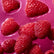 AXIO® LO Red Raspberry
